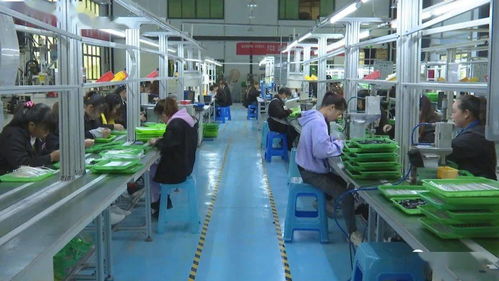 訂單式生產(chǎn)與電商運營雙輪驅動，安龍電子產(chǎn)品產(chǎn)業(yè)前景廣闊